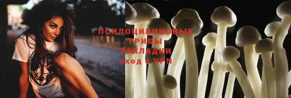 прущий лед Алексеевка